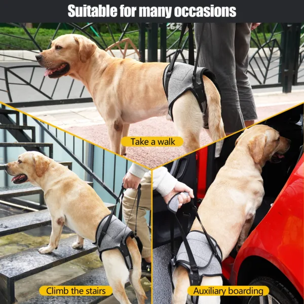 kf S65d5ab6be75342fd8800f74413630264H Dog Lift Harness for Large Dogs Soft Padded Adjustable Dog Back Leg Sling for Old Disabled Dog Lift Harness for Senior & Disabled Dogs