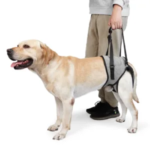 Dog Lift Harness for Senior & Disabled Dogs