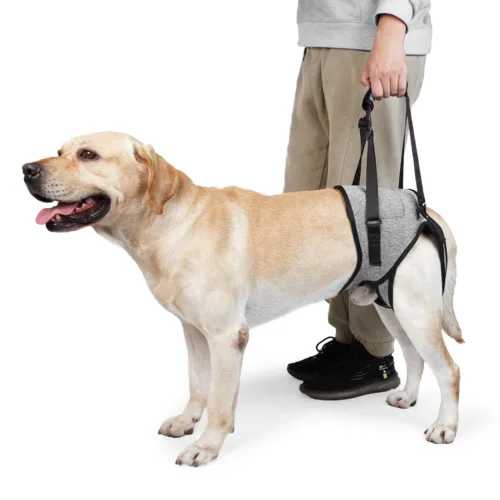 kf S9a2d1b3bec054fc382d51058f6a4cde86 Dog Lift Harness for Large Dogs Soft Padded Adjustable Dog Back Leg Sling for Old Disabled Home