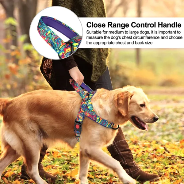 kf S21b2935a0cbb45f49a35784e153e17dfA Quick Control Dog Harness With Handle No Pull Nylon Dogs Vest Harness Colorfull Print Pet Harness Smart No-Pull Adjustable Quick Control Dog Harness with Handle